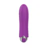 Exclusive Bullet Purple klitoralni stimulator