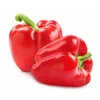 PAPRIKA CRVENA BABURA