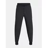 Hlače Under Armour UA TRAIL RUN PANT
