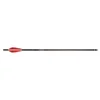 Barnett Bolt Carbon Headhunter Lighted 20”