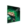 shumee Steklena zaščitna plošča za štedilnik 50x52 Leaf