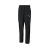 Puma Hlače teamRISE Sideline Pants