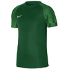 Jerey Nike Dri-FIT Academy