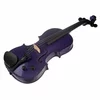 Električna violina 4/4 SR1515DPA Stentor