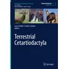 Terrestrial Cetartiodactyla