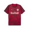 PUMA FC Red Bull Salzburg 25/26 Third Jersey Men, Sport, Dark Cherry/Metallic Gold, L