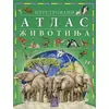 Ilustrovani atlas životinja - Eleonora Barsotti