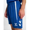 Hummel Kratke hlače Hummel hmlLEAD 2.0 Short