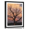 Plakat s paspartujem čudovito drevo na travniku - 40x60 silver