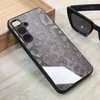 Maska za mobilni telefon Samsung Galaxy S24 Plus SHINY GLASS, Siva