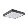 Stropno svetlo KAZIMIERZ 2xE27/20W/230V 29,5x29,5 cm crno