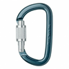 vponka z matico Petzl AmD Screw-Lock Black Carabiner