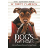 A Dogs Way Home