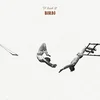 A Bunch Of Birds - A Bunch Of Birds (LP)