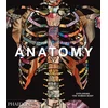 Anatomy, Exploring the Human Body