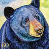 Saloli - Canyon (LP)