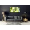 tulup.si Slika na akrilnem steklu Apple tree branch narava 120x60 cm 4 obešalnika