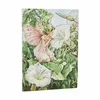 Paperblanks Bindweed Fairy, midi, brezčrtni, mehke platnice