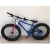 Capriolo Mammut 26 plavo