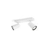 Philips Paisley spot svetiljka bela 2xmax10W 50572/31/PN