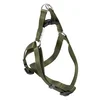 Am za male pse S, 1.5x35-50cm, Zeleni