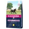 Eukanuba Puppy Large Breed piščanec - Varčno pakiranje: 2 x 15 kg