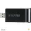 Yamaha UD-WL01