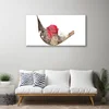 tulup.si Slika na akrilnem steklu Rose flower rastlin narava 120x60 cm 2 obešalnika