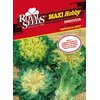 SEME ROYAL SEEDS 173 Endivija Mešanica sort