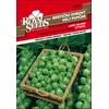 SEME ROYAL SEEDS 32 Brstični ohrovt Long Island