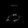Peter Wolff - Breath (2 LP)