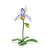 Dekorativna figura Swarovski FLORERE 12,3 x 10,7 x 17,6 cm