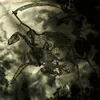 Bitterness Exhumed - A Place Of Many Ghosts (LP)