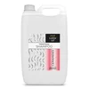 Šampon za Kosu sa Keramidima COLORART - PROSALON 5000ML - Kozmo Shop Online