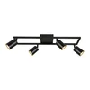 Plafonska lampa FG153-4 BK
