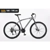Xplorer MTB bicycle MATTERHORN Gray 29