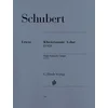 SCHUBERT:PIANO SONATA IN A-DUR D 959