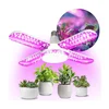 LED sijalica za rast biljaka VITABLOOM E27/40W/230V 1200K - Brilagi