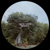 Raphael Gimenes - Dinamarca (2 LP)