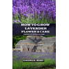 How to Grow Lavender Flower and Care: A Step by Step Guide