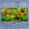 tulup.si Slika na akrilnem steklu Aquarium fish rastline 140x70 cm 4 obešalnika