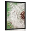 Plakat detajl regratove lučke - 20x30 black