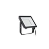 PHILIPS Reflektor PROJECTLINE FLOODLIGHT 30W 4000K 911401863584 crni