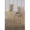 HANAH HOME Set stolica (6 komada) Alpa Cappuccino Gold