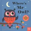 Wheres Mr Owl?