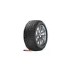 Taurus Winter ( 225/50 R17 98V XL )