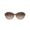Tiffany Naočare za sunce TF 4188D 81343B