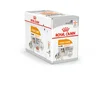 Royal Canin Adult Coat Care - pašteta 12 x 85 g