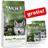 Wolf of Wilderness JUNIOR Rocky Canyons - govedina iz proste reje - Varčno pakiranje: 2 x 12 kg