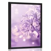Plakat vijoličen cvet španskega bezga - 40x60 no frame